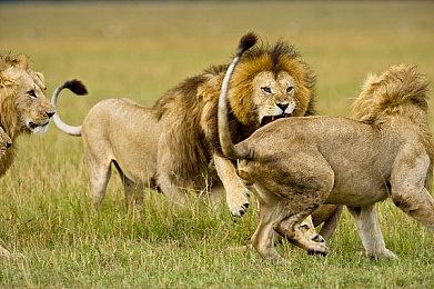 《轩辕剑外传：穹之扉》宣布将于2024年登陆PS5